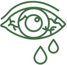 icon-Uveite-Ophtalmo-Paris-Est